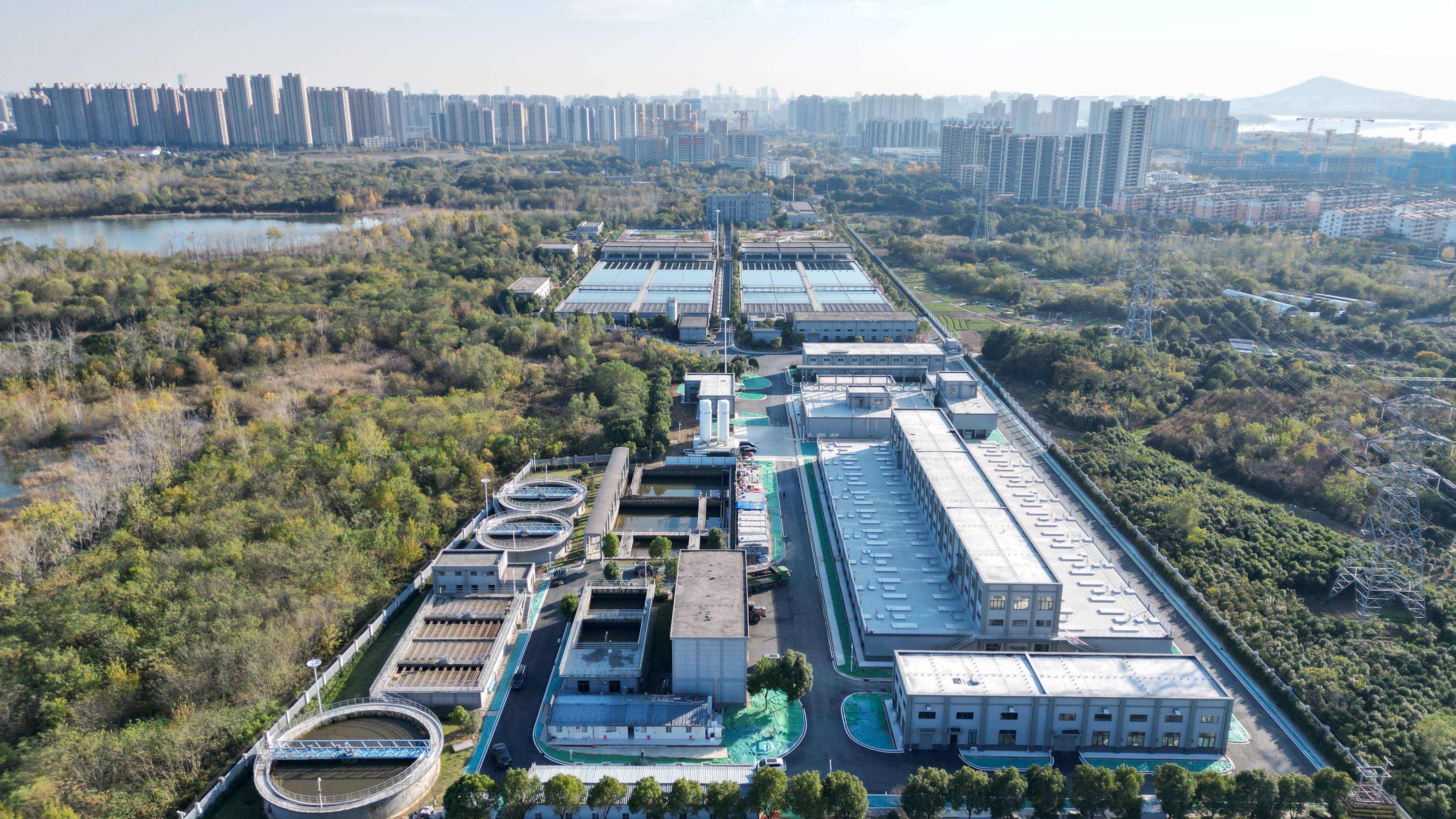 阳江市合肥专业企业价值增长(合肥市重点企业产业目录)