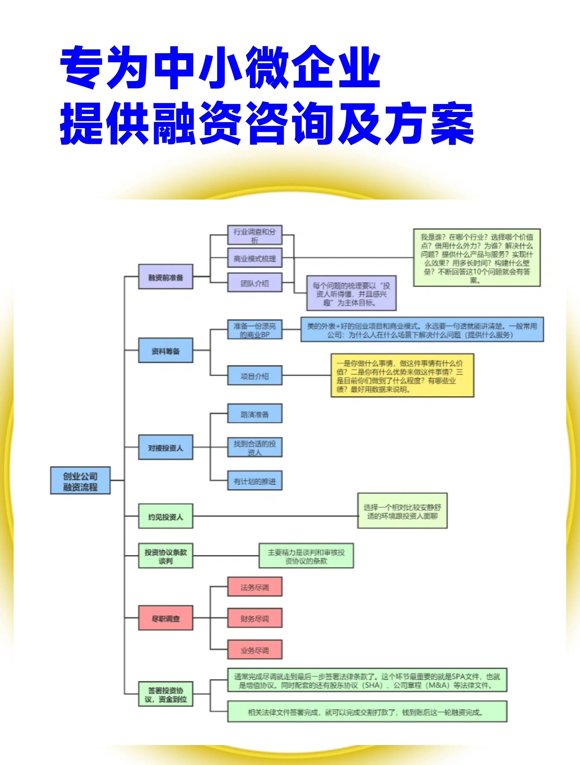 阳江市宠物企业资金管理(宠物管理机构叫什么)