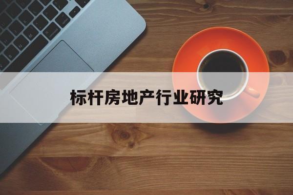阳江市标杆房地产行业研究(房地产领域的标杆人物)