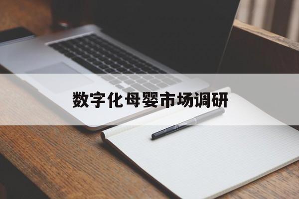 阳江市数字化母婴市场调研(数字化母婴市场调研报告)