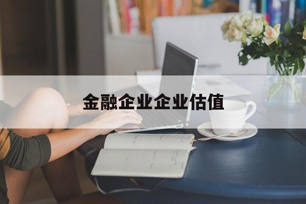 阳江市金融企业企业估值(最新企业估值怎么填)